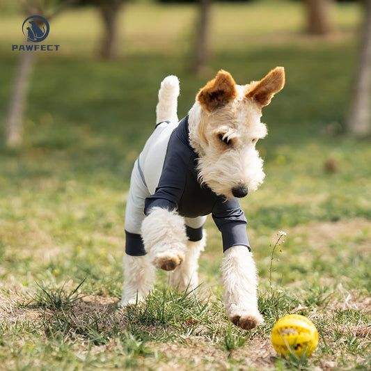 Cooling Quick-Dry UV-Protection Dog Jumpsuit – Breathable 4-Leg Design