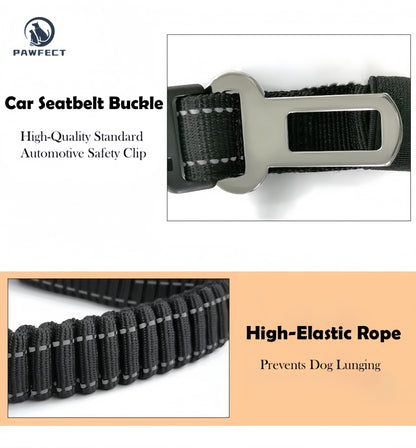 6-in-1 Multi-Functional Dog Leash for Running & Car Safety