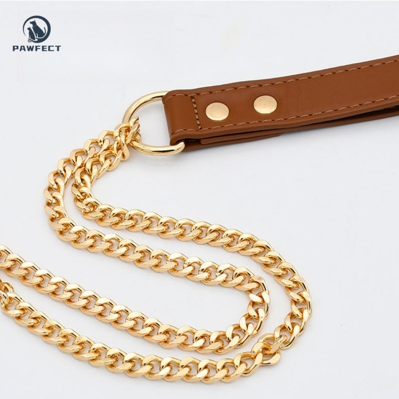 Golden Stainless Steel No-Pull Pet Collar & Leash Set