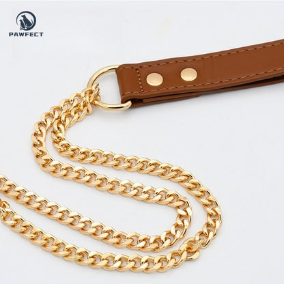 Golden Stainless Steel No-Pull Pet Collar & Leash Set