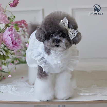 Lightweight Lace Dog Dress in Sweet Style