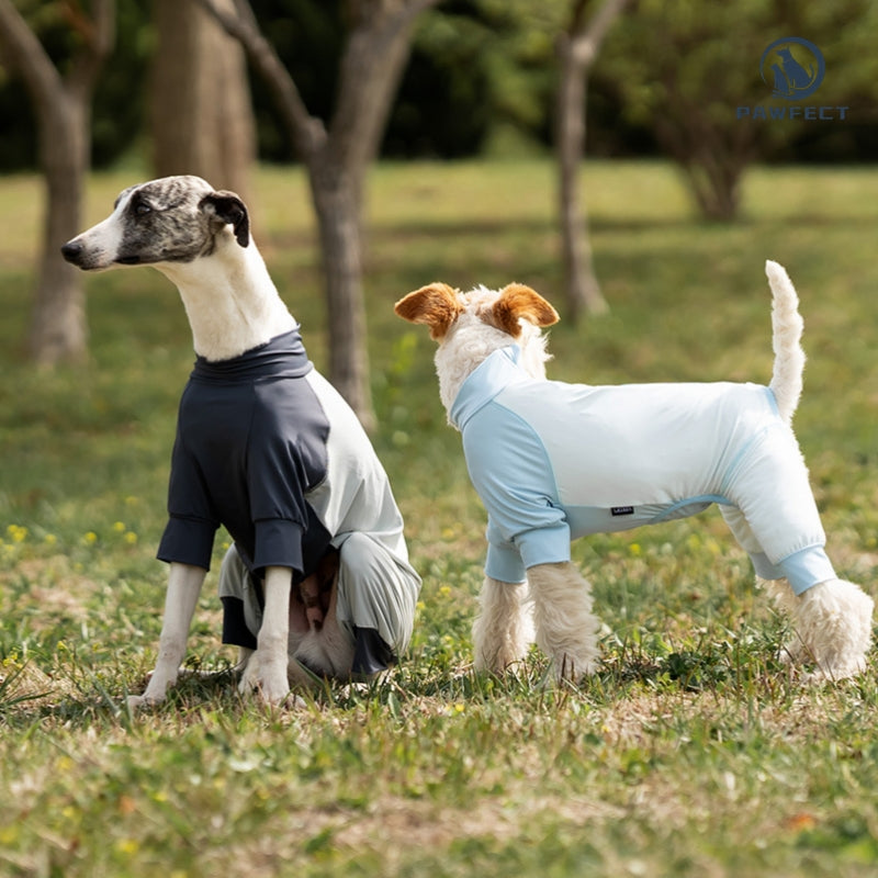 Cooling Quick-Dry UV-Protection Dog Jumpsuit – Breathable 4-Leg Design