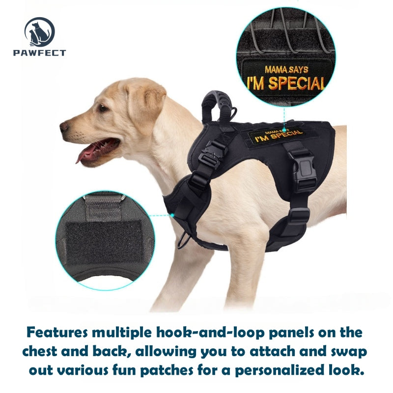 Durable Outdoor Training Harness for Dogs
