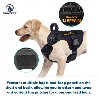 Durable Outdoor Training Harness for Dogs