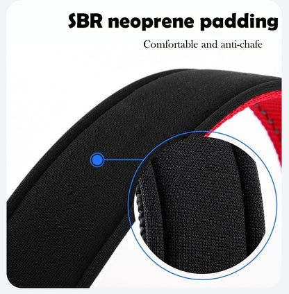 Reflective Nylon Dog Leash