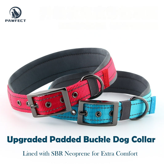 Comfort Neoprene Reflective Pet Collar