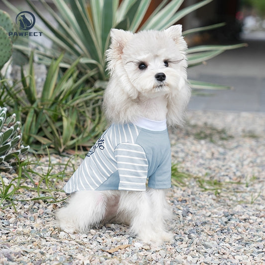 Lightweight Diagonal Stripe Dog T-Shirt