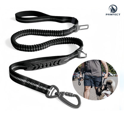 Reflective Elastic Dog Leash with Car Seatbelt Buckle