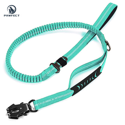 Reflective Pet Leash with Car Seatbelt Buckle & Frog Clip