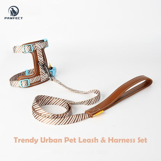 Leather Pet Harness & Leash Set – For Cats and Small Dogs