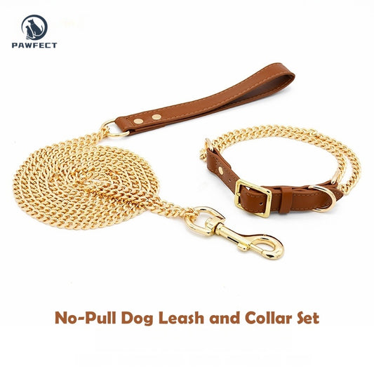 Golden Stainless Steel No-Pull Pet Collar & Leash Set