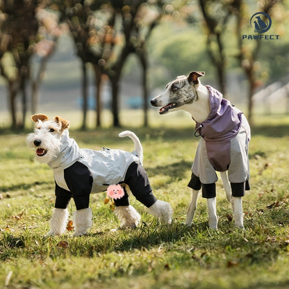 Waterproof Dog Raincoat with 4-Leg Coverage and Leash Hole