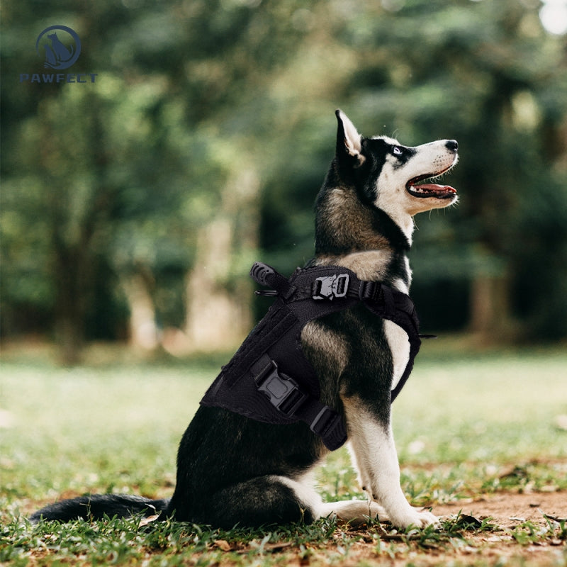 Durable Outdoor Training Harness for Dogs