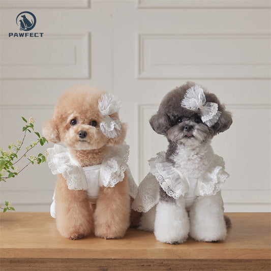 Lightweight Lace Dog Dress in Sweet Style