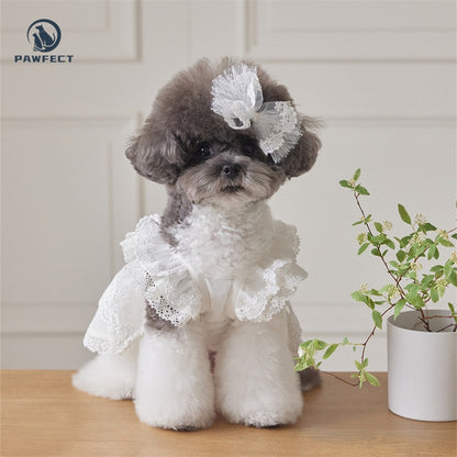 Lightweight Lace Dog Dress in Sweet Style