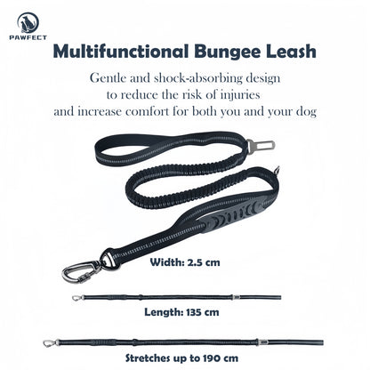 Reflective Elastic Dog Leash with Car Seatbelt Buckle