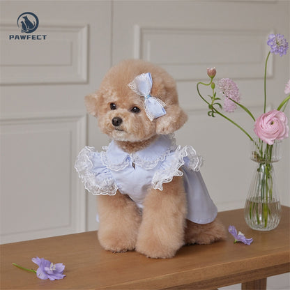 Lightweight Lace Flutter-Sleeve Dog Dress – Elegant Lady Style