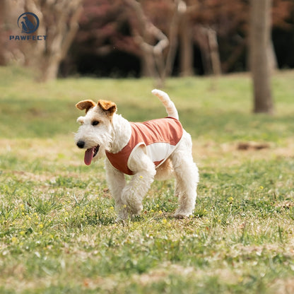 Breathable Mesh Quick-Dry Dog Vest