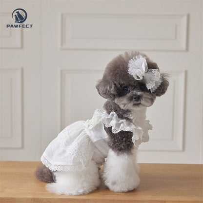 Lightweight Lace Dog Dress in Sweet Style
