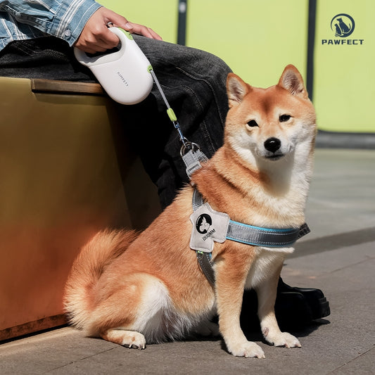 Reflective Retractable Pet Leash for Outdoor Walks