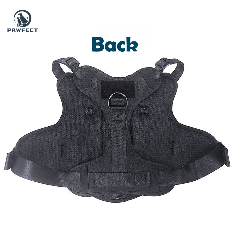 Durable Outdoor Training Harness for Dogs