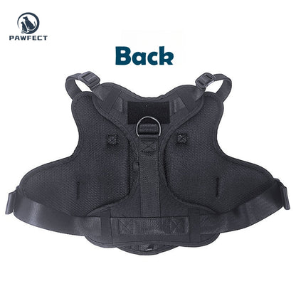 Durable Outdoor Training Harness for Dogs