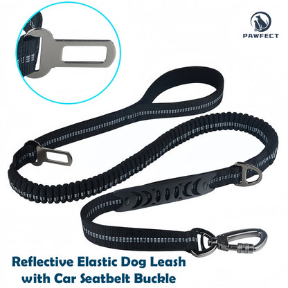 Reflective Elastic Dog Leash with Car Seatbelt Buckle