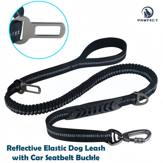 Reflective Elastic Dog Leash with Car Seatbelt Buckle
