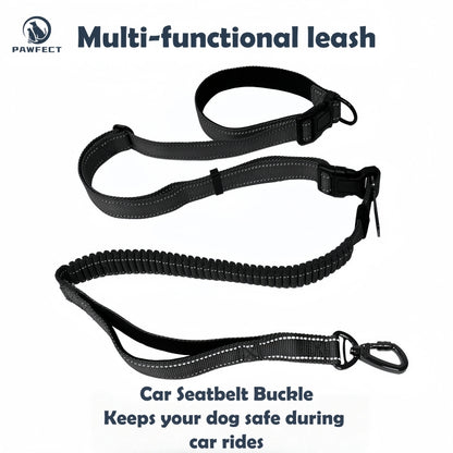 6-in-1 Multi-Functional Dog Leash for Running & Car Safety