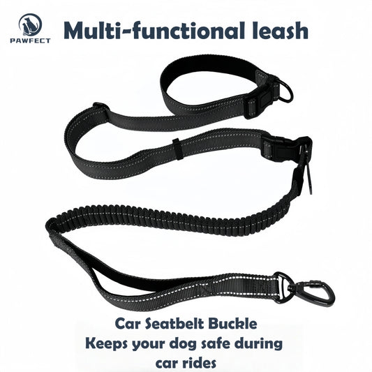 6-in-1 Multi-Functional Dog Leash for Running & Car Safety