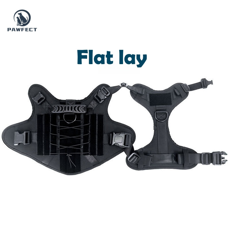 Durable Outdoor Training Harness for Dogs
