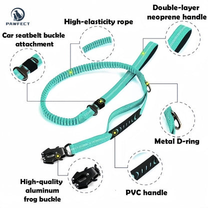 Reflective Pet Leash with Car Seatbelt Buckle & Frog Clip