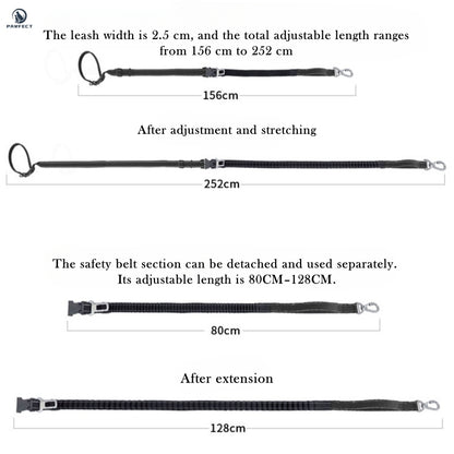 6-in-1 Multi-Functional Dog Leash for Running & Car Safety