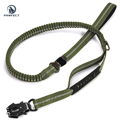 Reflective Pet Leash with Car Seatbelt Buckle & Frog Clip