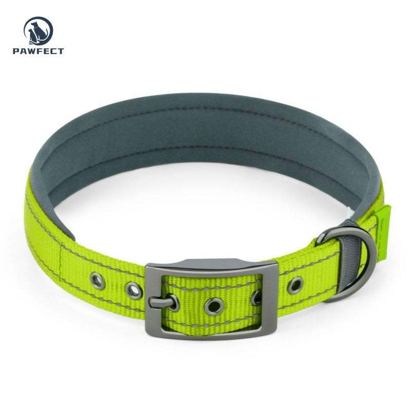 Comfort Neoprene Reflective Pet Collar