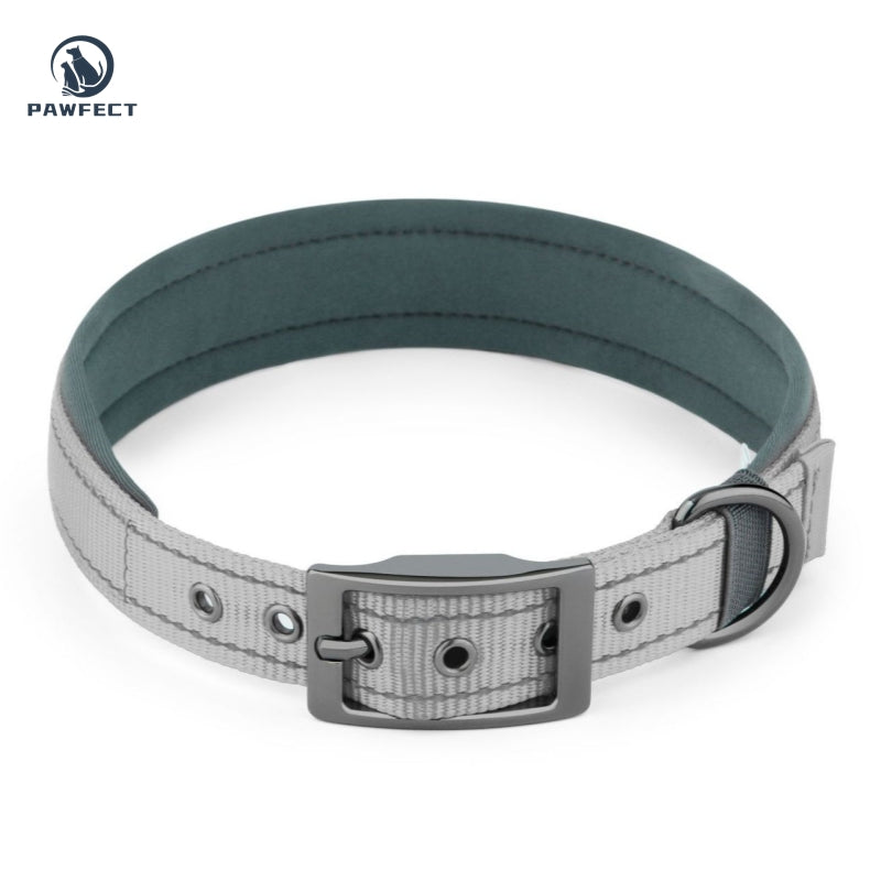 Comfort Neoprene Reflective Pet Collar