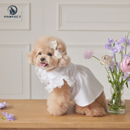 Lightweight Lace Flutter-Sleeve Dog Dress – Elegant Lady Style