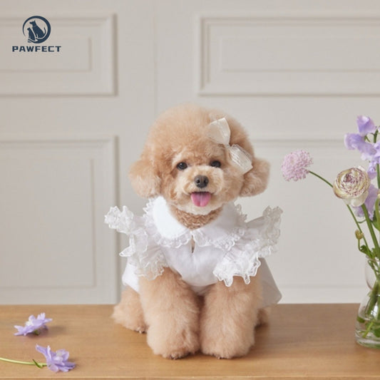 Lightweight Lace Flutter-Sleeve Dog Dress – Elegant Lady Style