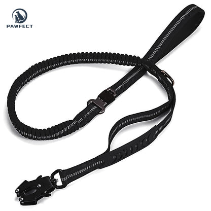 Reflective Pet Leash with Car Seatbelt Buckle & Frog Clip
