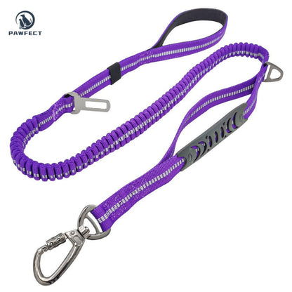 Reflective Elastic Dog Leash with Car Seatbelt Buckle