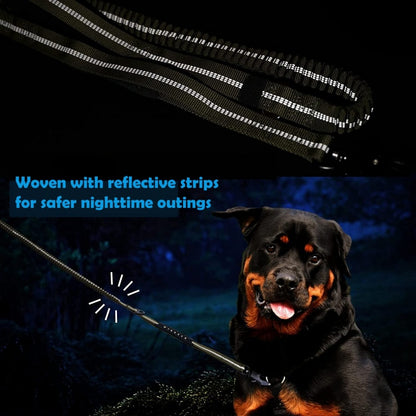 Reflective Pet Leash with Car Seatbelt Buckle & Frog Clip