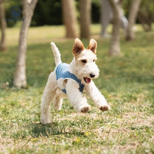 Breathable Mesh Quick-Dry Dog Vest