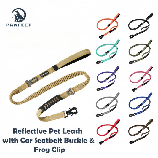 Reflective Pet Leash with Car Seatbelt Buckle & Frog Clip