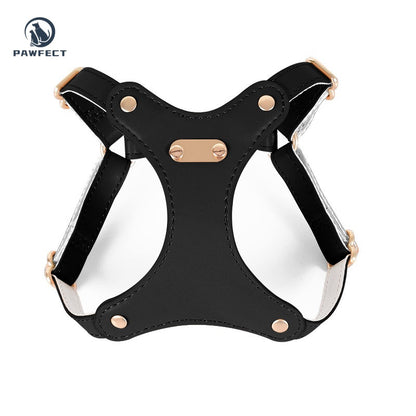 Soft Leather Cat Leash Set with Bow Collar or Harness